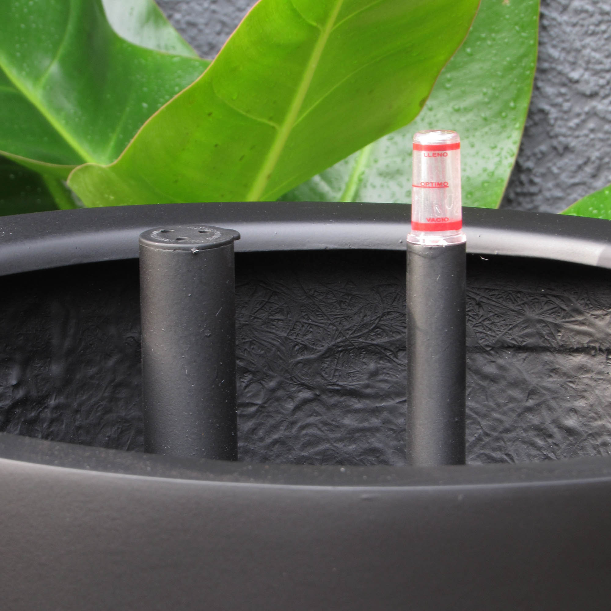 Tórtola XL Negro Opaco