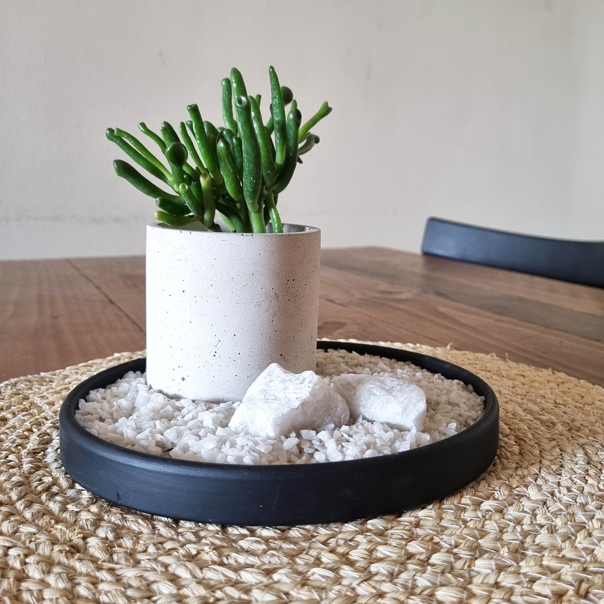 Jardín Zen Suculenta