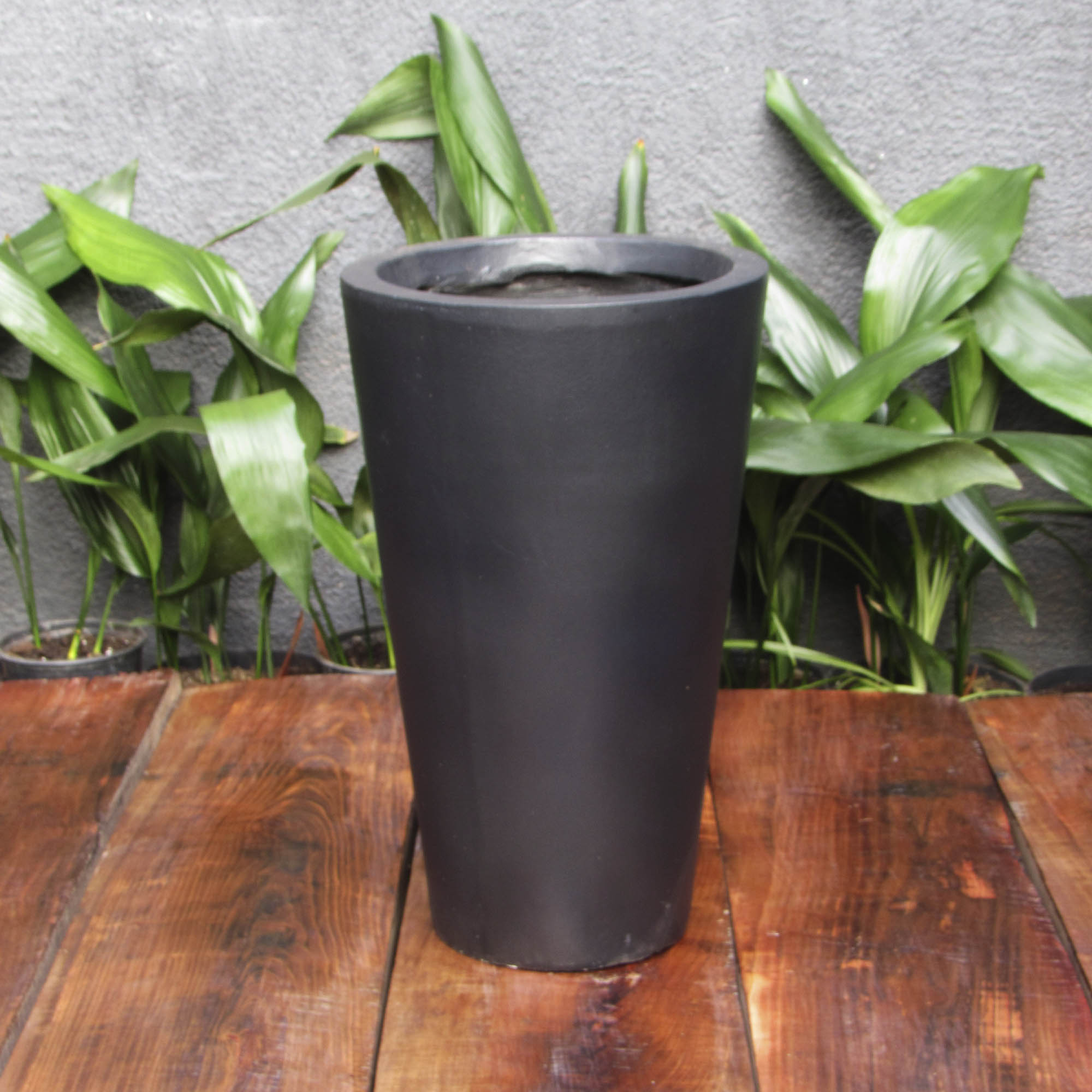 Yunco Negro L