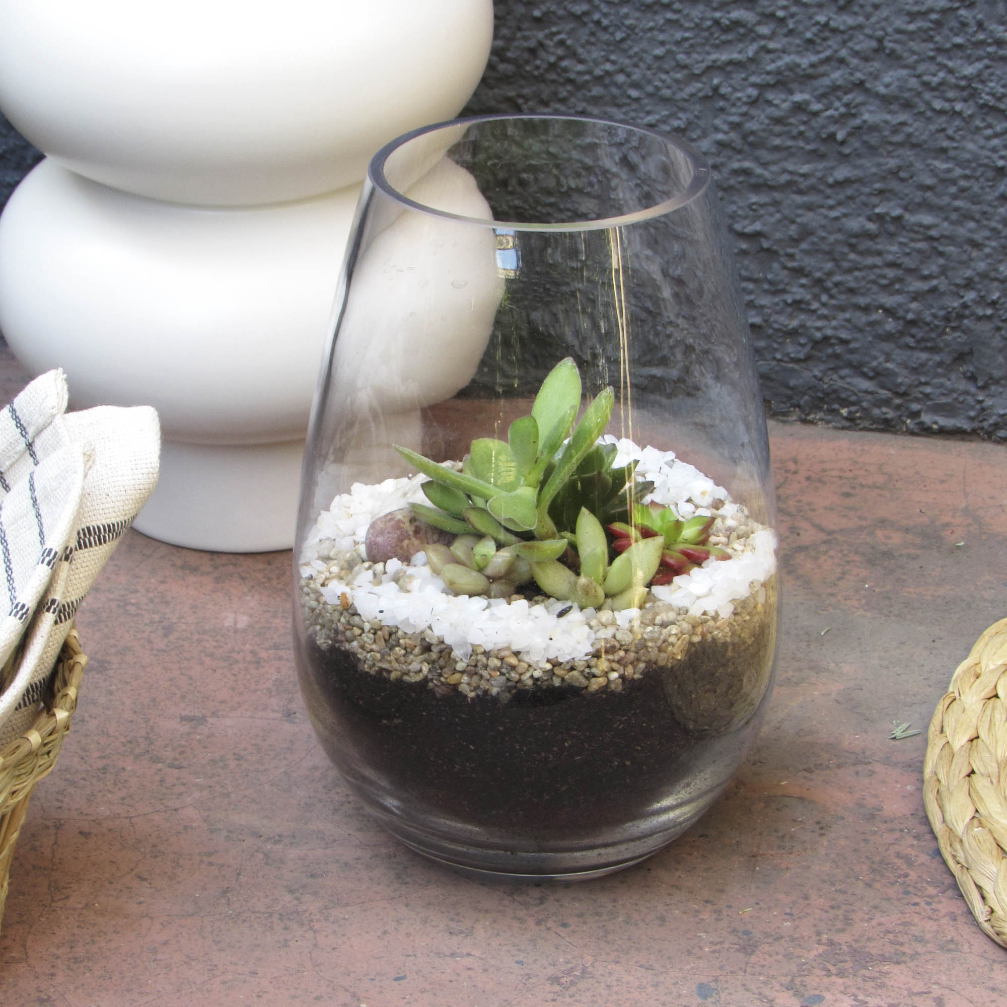 Mini jardín Suculentas en Vidrio