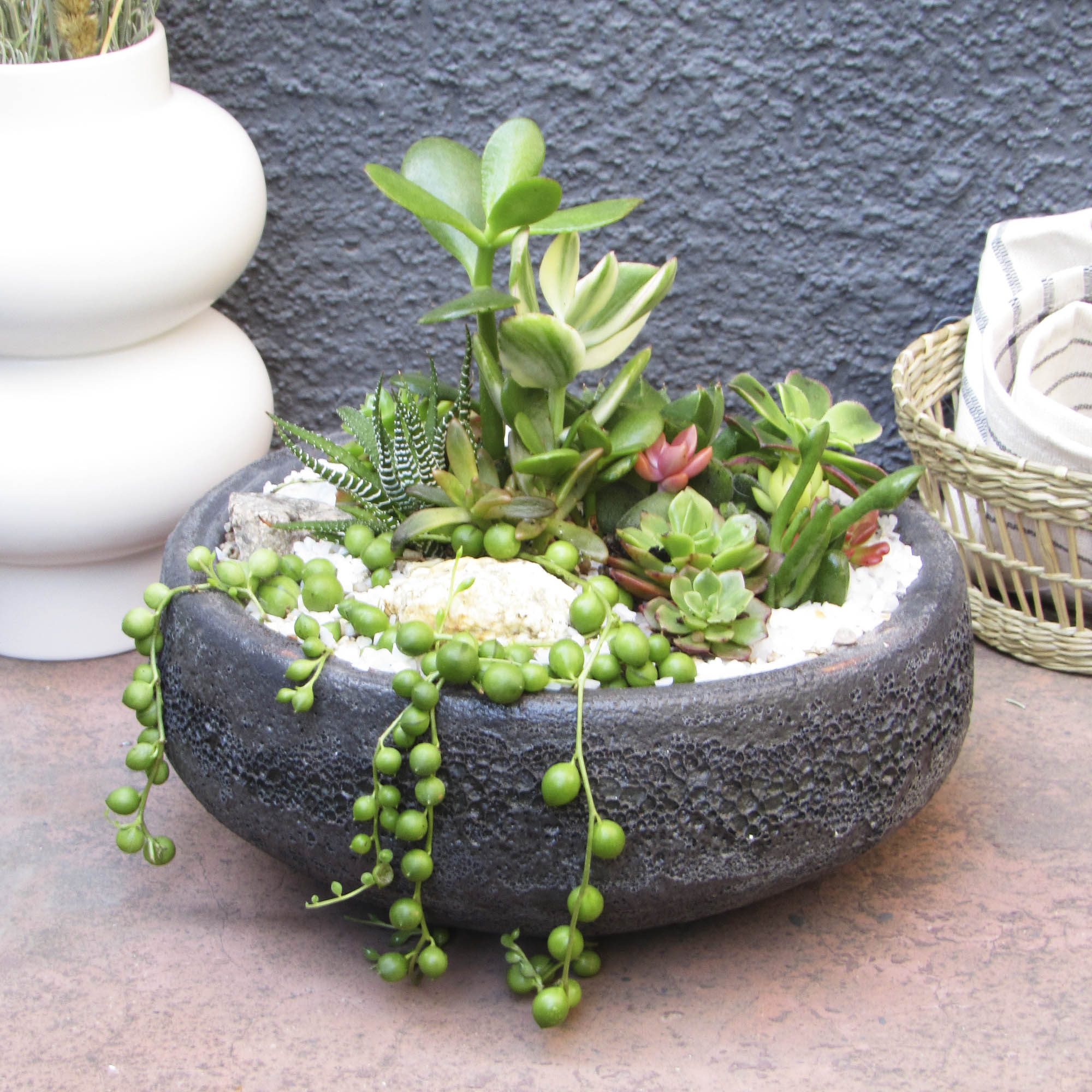 Mini jardín Suculentas Caití