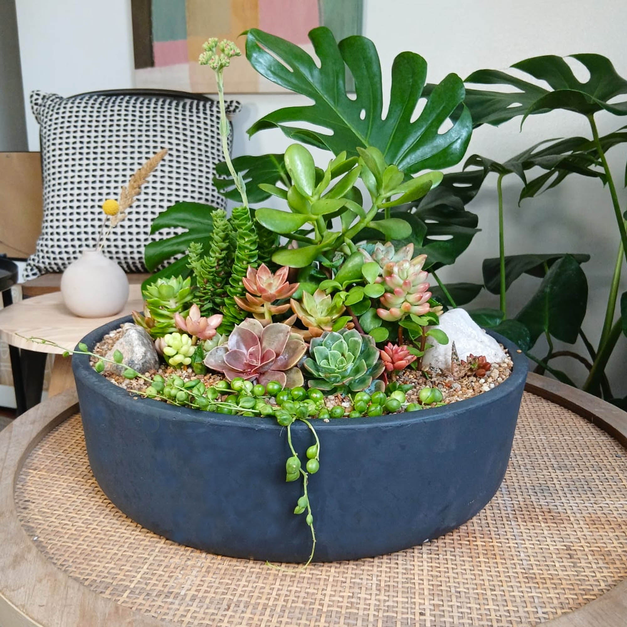 Mini jardín Garza