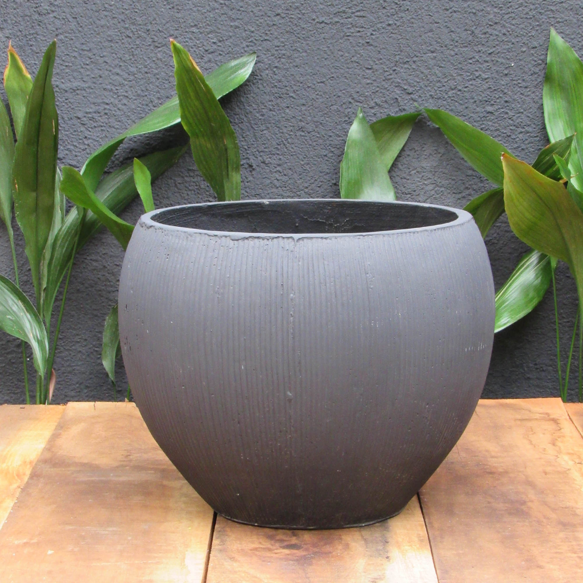 Queltehue XL Gris oscuro