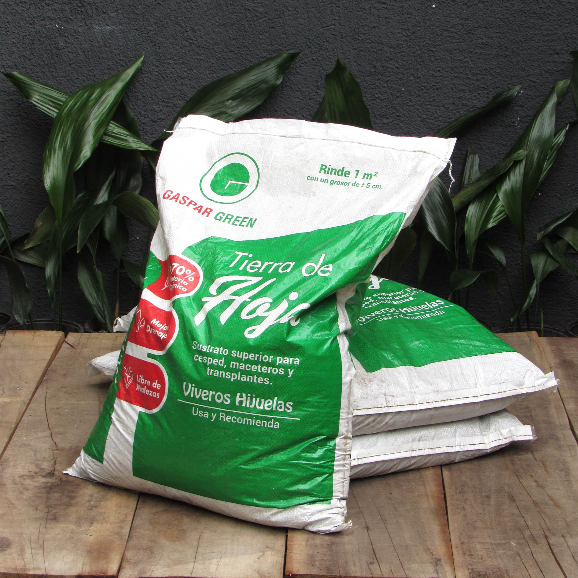 Tierra de Hojas Desinfectada GASPAR GREEN 40 Lts