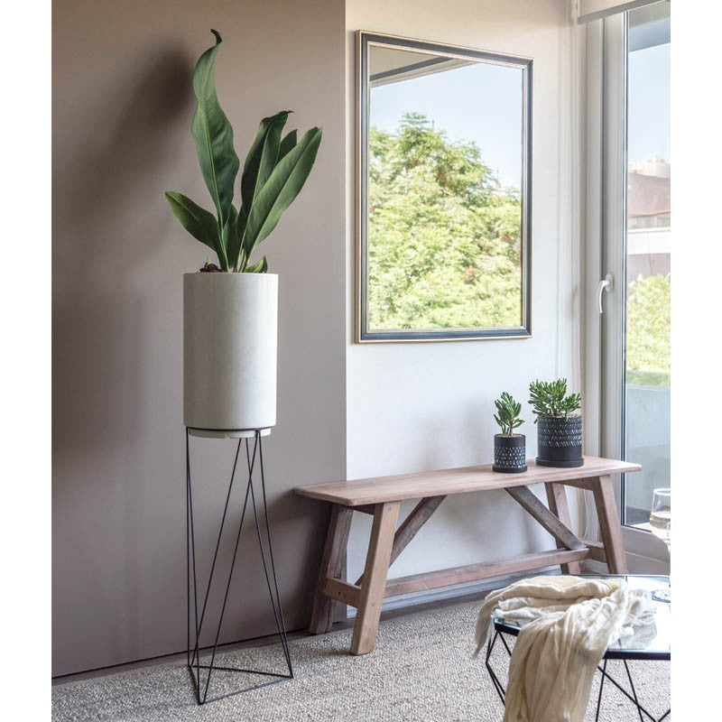 Plantas XL