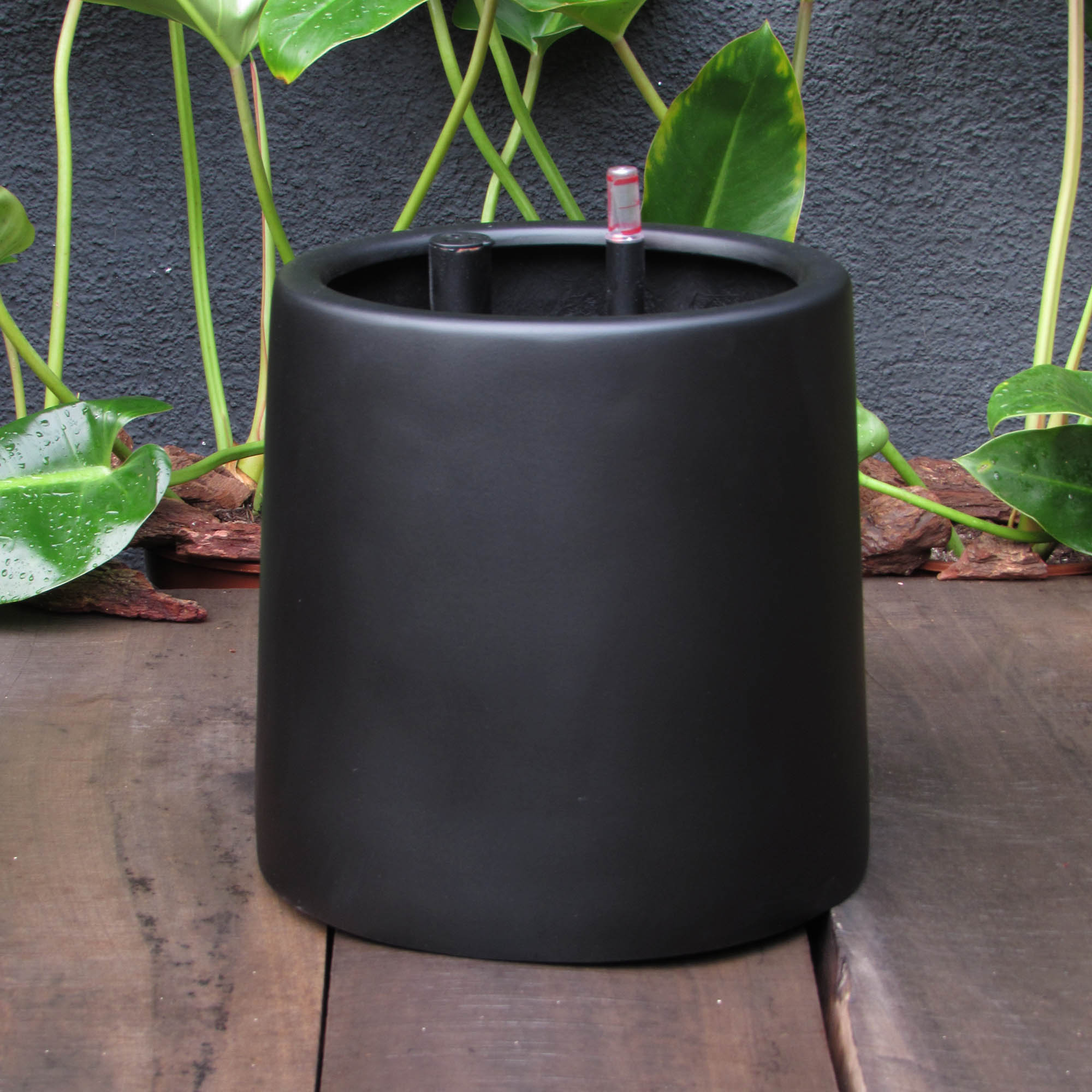 Chincol L Negro Opaco