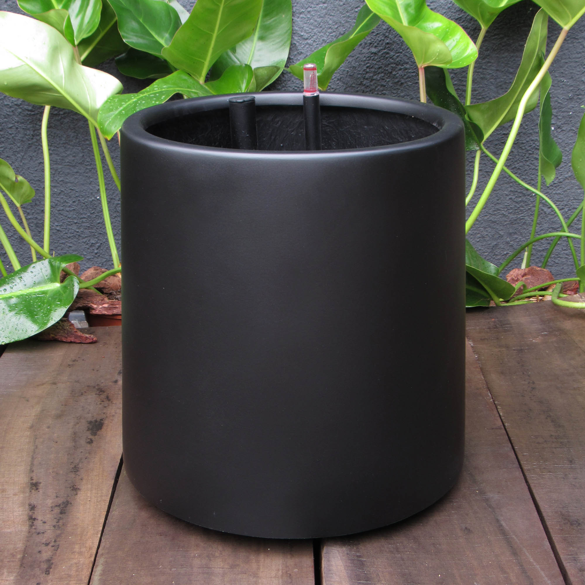 Chincol XL Negro Opaco