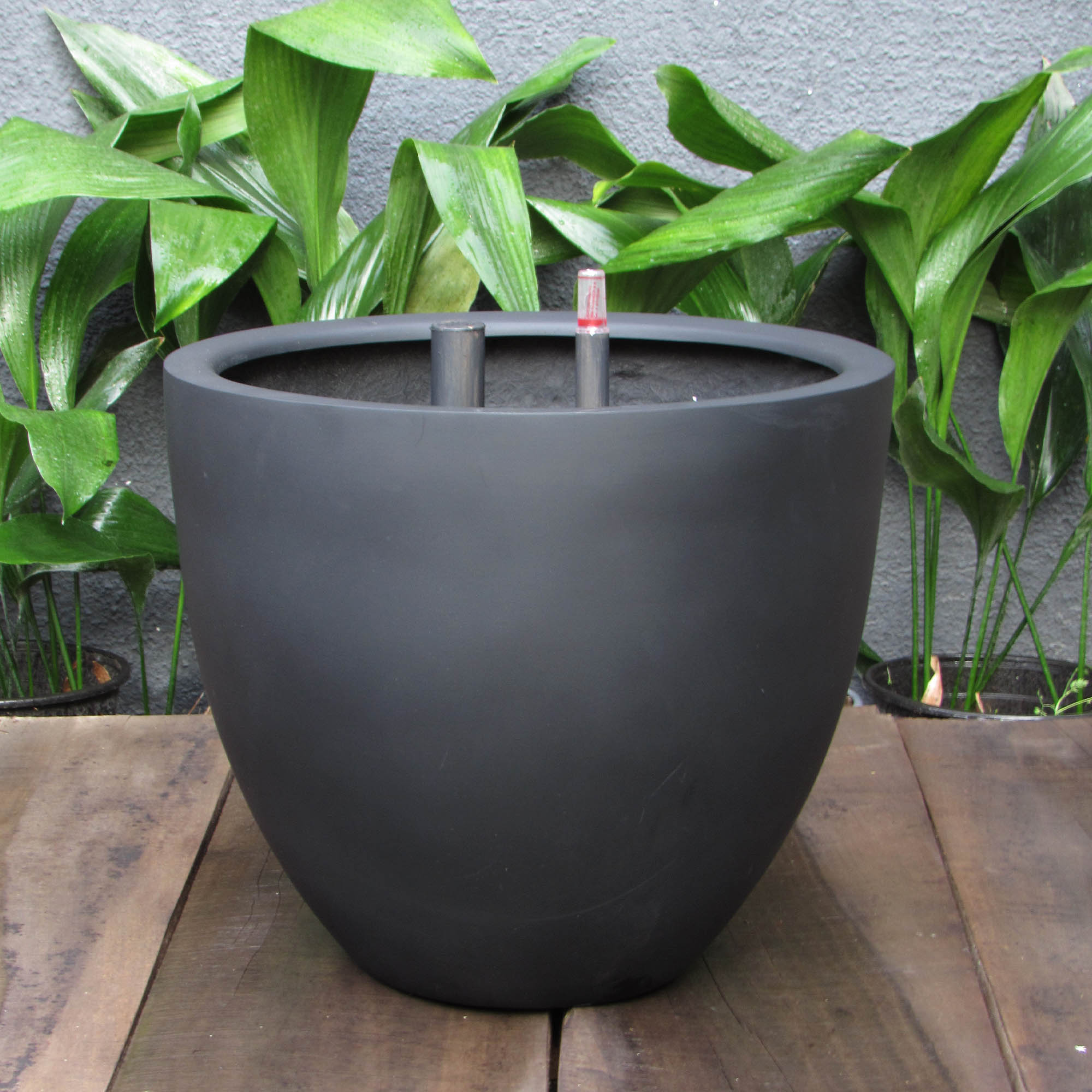 Loica XL Negro Opaco