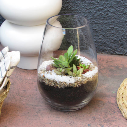 Mini jardín Suculentas en Vidrio