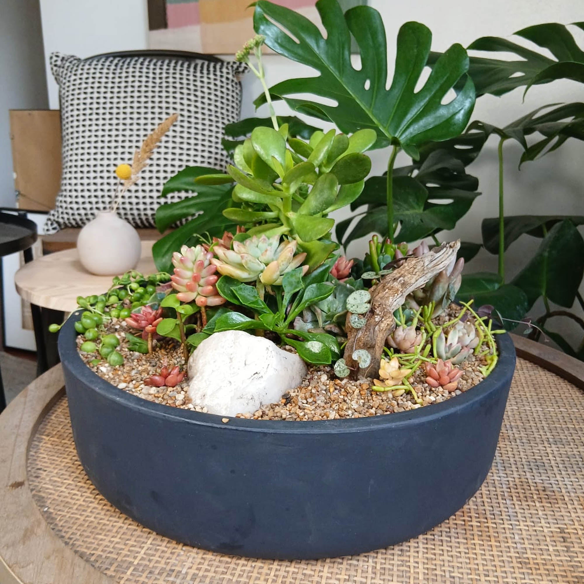 Mini jardín Garza