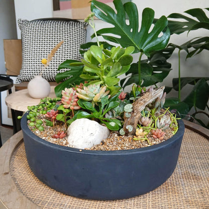 Mini jardín Garza