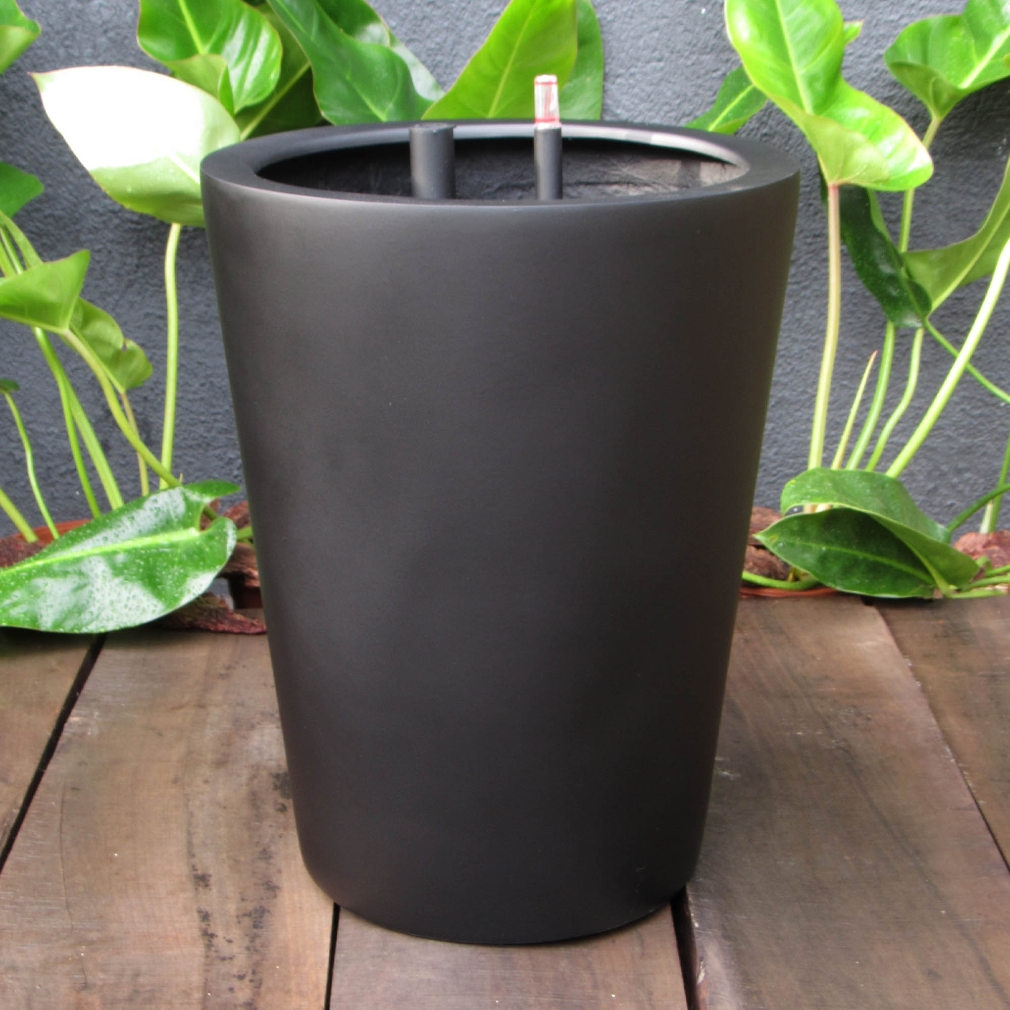Tórtola XL Negro Opaco